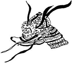 File:Recreational Computing helmet.png