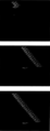 Thumbnail for version as of 12:40, 2 May 2020