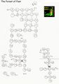 Adventure map by Frank Black
