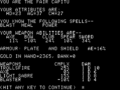 The status screen showing stats, gear and skills. Don't get too attached: weapons break and character death is permanent!