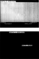 Thumbnail for version as of 13:26, 2 May 2020
