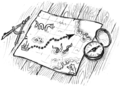 Thumbnail for version as of 12:54, 4 March 2019
