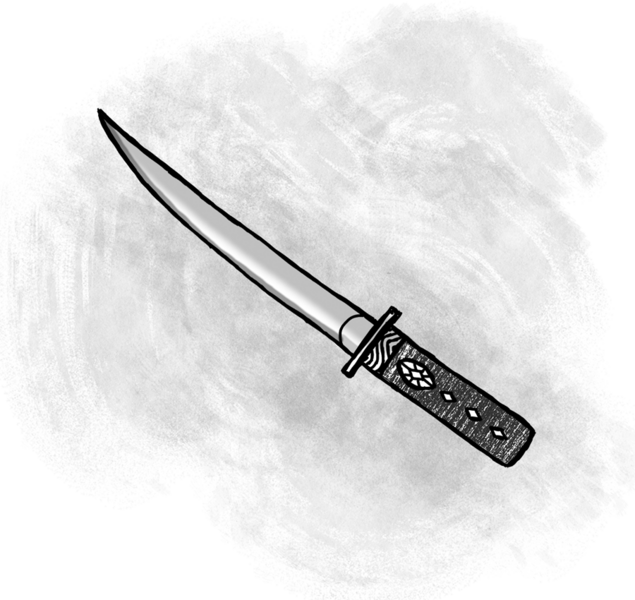 File:Tonto.png