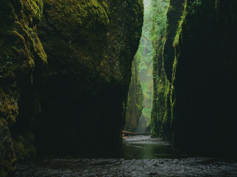 File:Mossy gorge.jpg