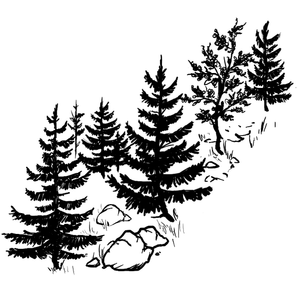 File:Mount Eilaak trees.png